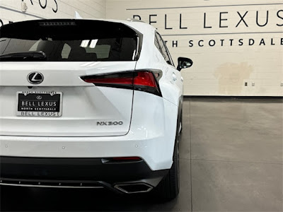 2021 Lexus NX NX 300 F SPORT