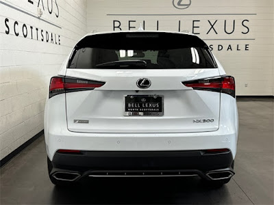 2021 Lexus NX NX 300 F SPORT