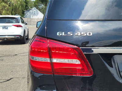 2018 Mercedes-Benz GLS GLS 450